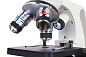 Микроскоп Levenhuk Discovery Femto Polar 77983 с книгой